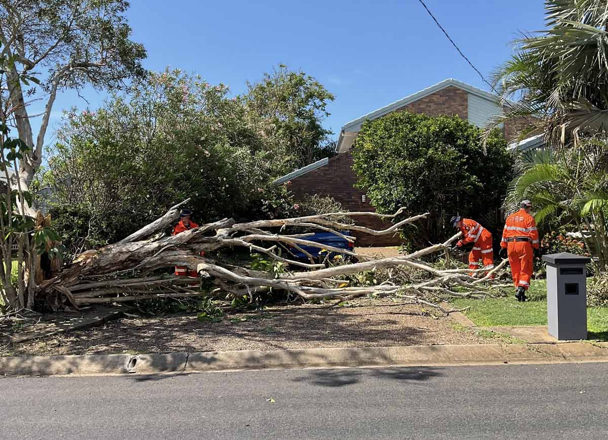 Storm damage response — the North Shore checklist.