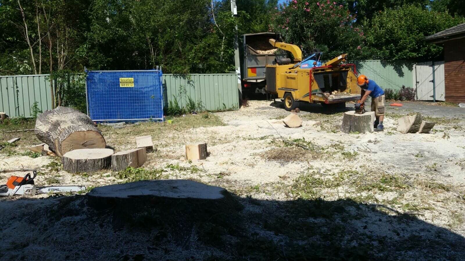 Cleared residential site with freshly ground stumps ready for landscape work