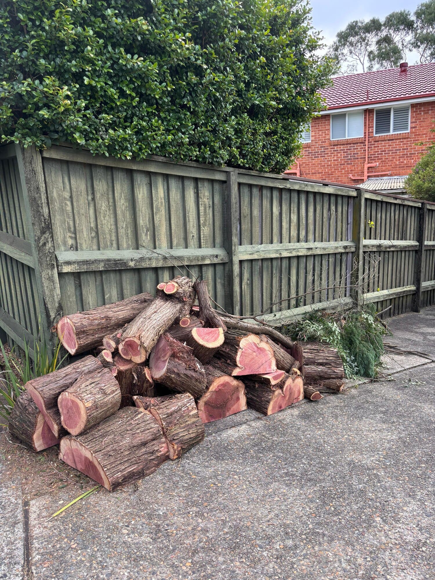 Stacked cut timber beside fencing after tree removal cleanup in Hornsby