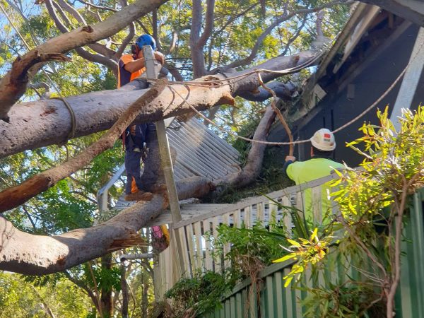 Emergency Tree Services crew working on a Cherrybrook property