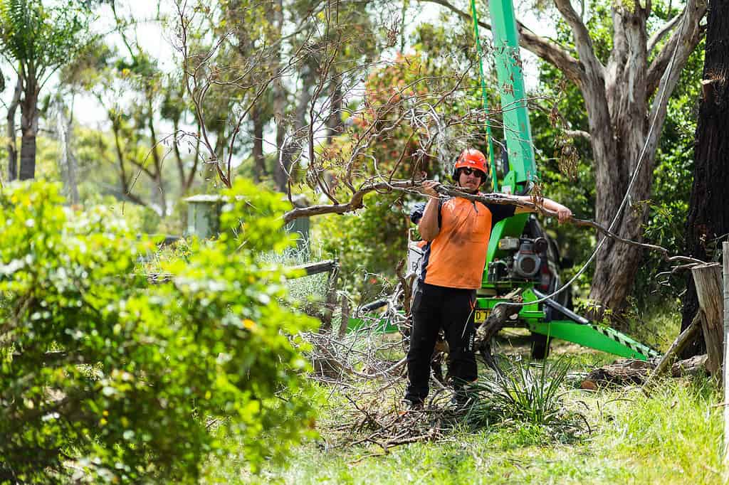 Land Clearing crew working on a Dural property