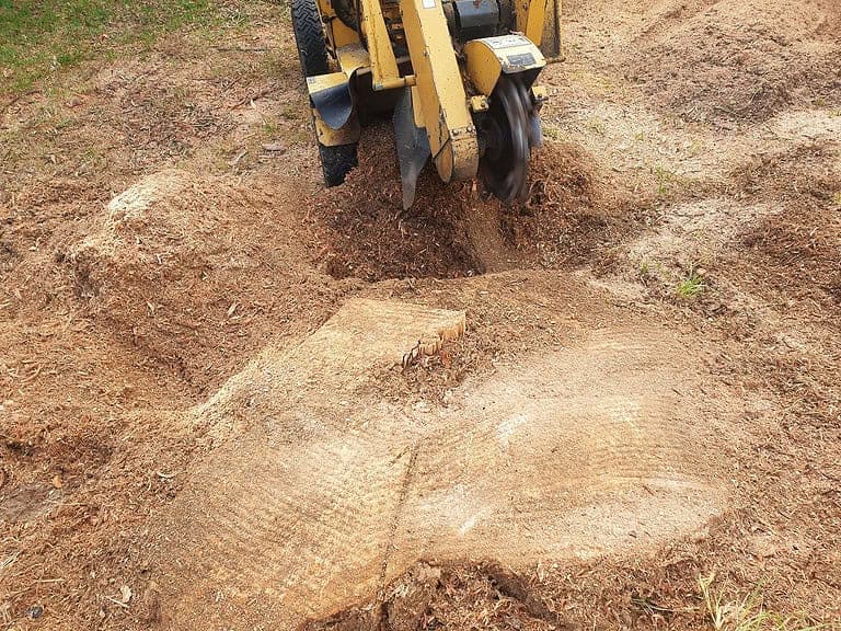 Stump Grinding work by John's Tree Services North Shore