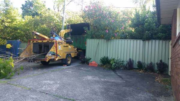 Affordable Tree Services Cammeray